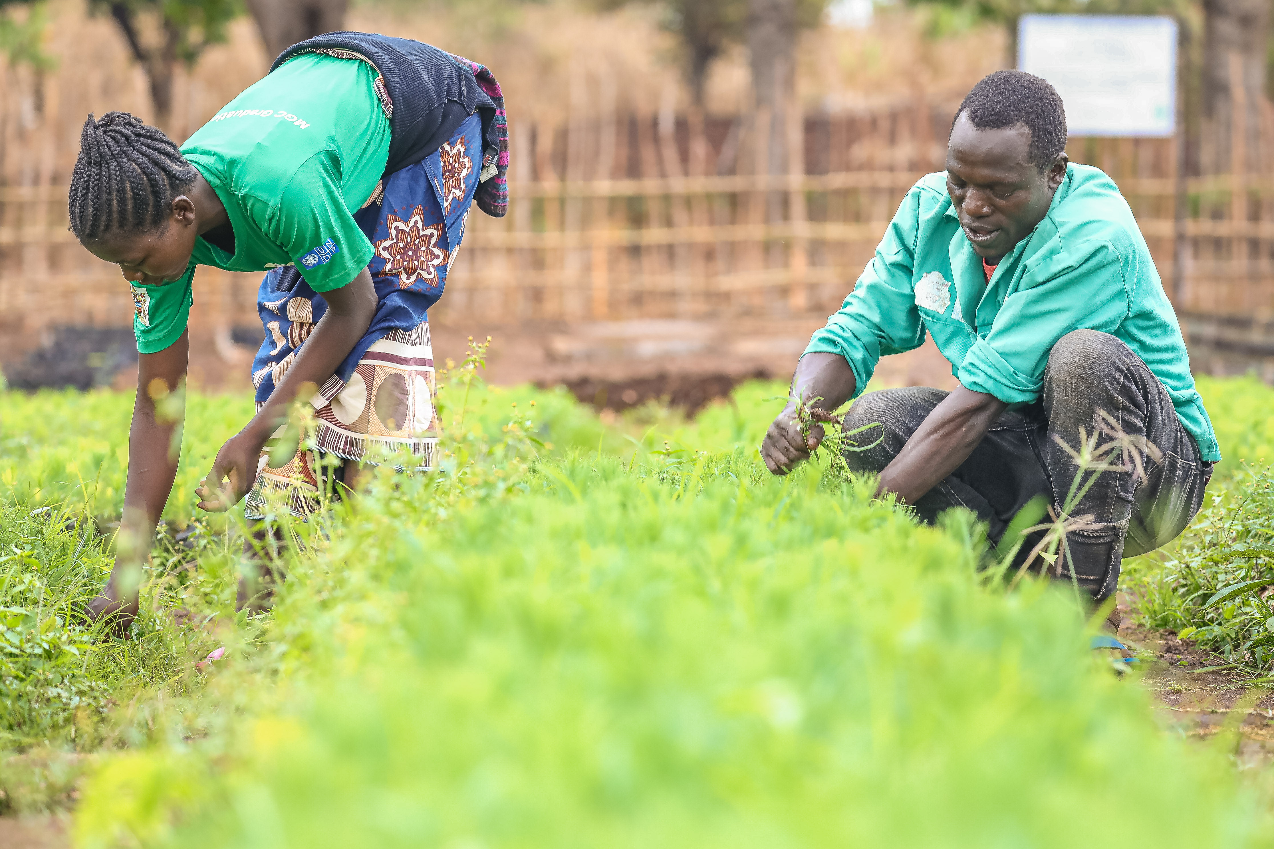 Malawi secures US$8.9 million from Global Environment Facility to Build Climate Resilience in Bua River Catchment